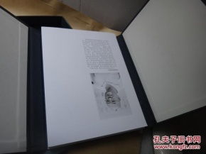 2014年东海雅集 胡传海书法作品 布面精装函套 册页装 印刷精美